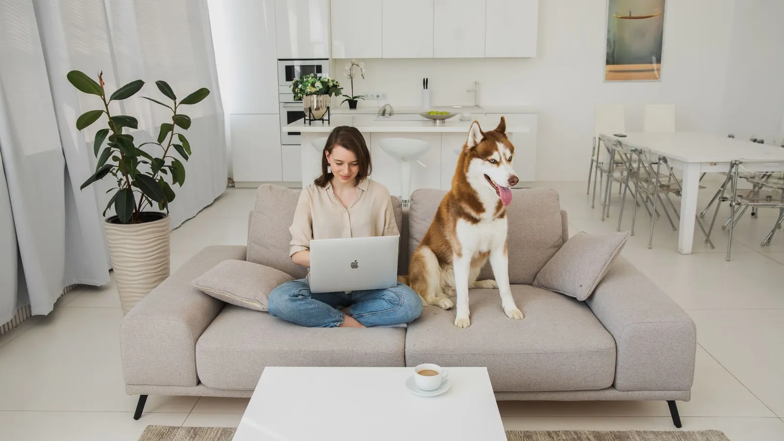 Une femme assise sur un canapé avec un ordinateur portable, un husky à ses côtés, dans un salon lumineux
